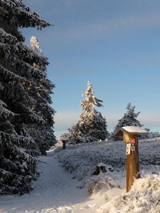 Berghotel Hoher Knochen Winterberg Bagian luar foto